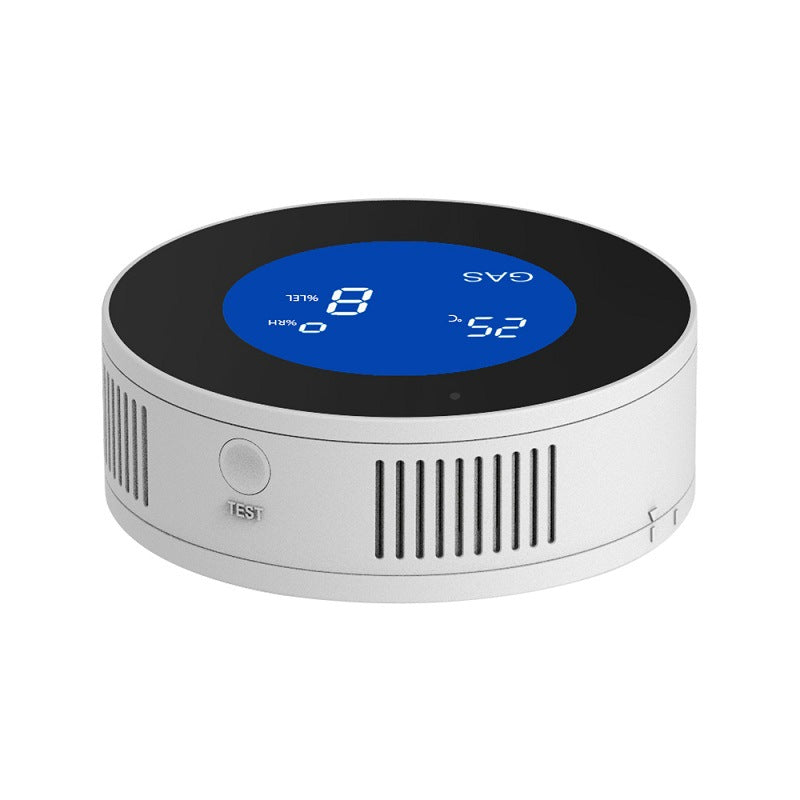 Gas leak detector